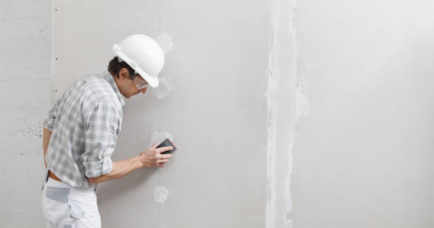 Best Commercial Painting  in Fobes Hill, WA